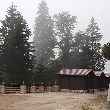 Chalet Cise Ayder Yaylasi